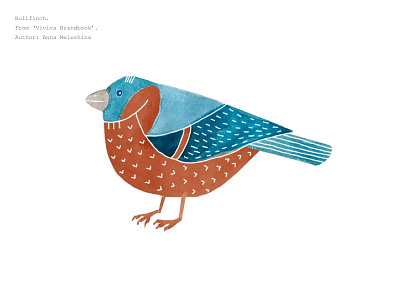 Bullfinch blue blue bird bullfinch detail grey illustration minimalism red