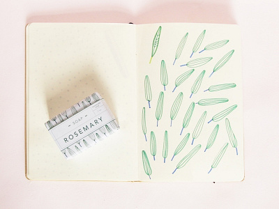 Rosemary illustrations for soap package. flora illustration minimalism package rosemary rosemary illustration rosemary soap soap soap package