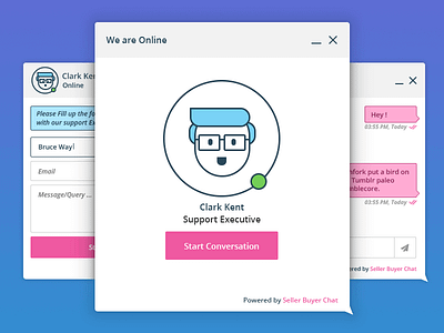 Seller Buyer Chat Widget