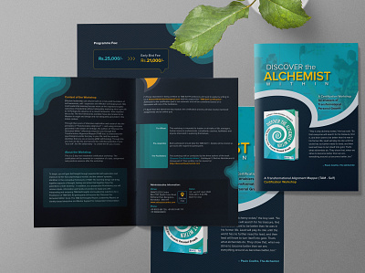 DTAW Brochure branding graphic design