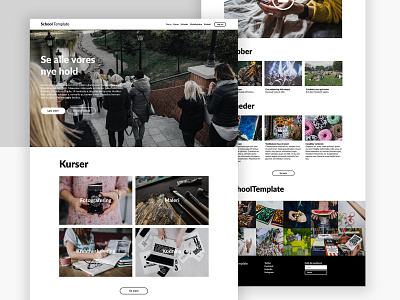 Danish School Net | Web Design Concept design flat ui ux web website