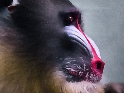 Watercolor Action: Progress action monkey paint photoshop sumi-e watercolor