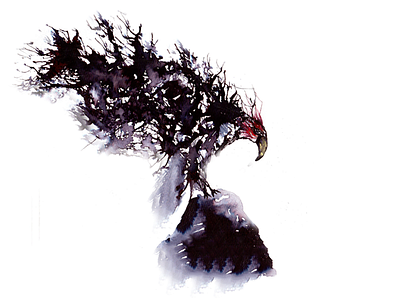 Ink Illustration - Eagle art eagle illustartor illustration ink