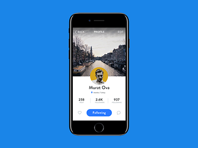 Profile Card app application grid interface ios iphone iphone 7 layout photos profile ui ux