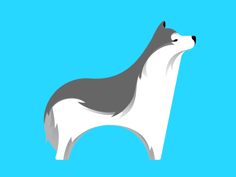 Husky cachorro circles dog grid husky illustration illustrator polar siberian siberiano vector