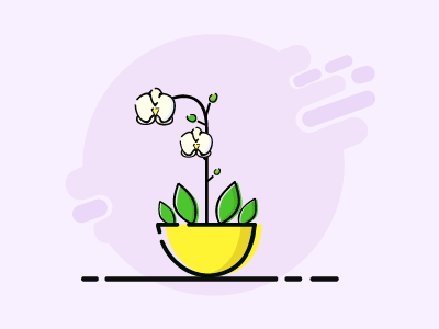 Orchid design flora flower icon ilustration nature orchid