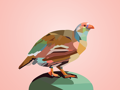Caucasian Snowcock art illustration bird polygon