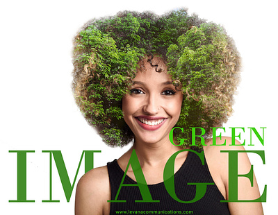 Green Im-age image editing service
