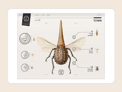 Insect Definer - IPad app app interactive ipad mobile ui ux