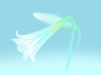 Easter Lilies designs, themes, templates and downloadable graphic elements  on Dribbble