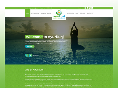 Ayur Kunj design vector web