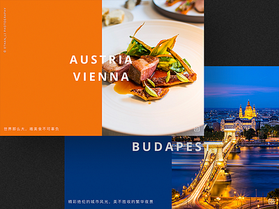 Travel web design budapest design interface travel trip ui web