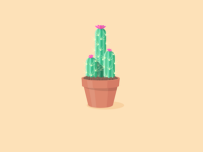 Cactus art cactus desert flat icon a day illustration plant vector water