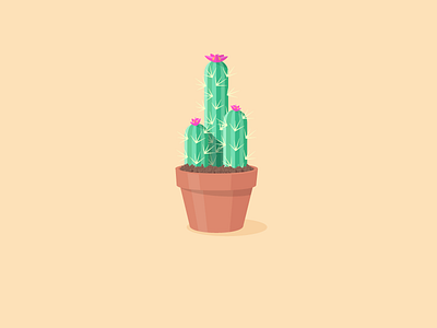 Cactus