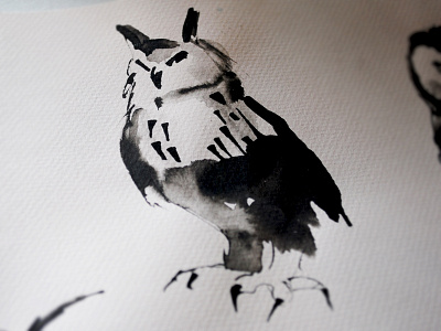 Owl barn owl bird black bottle illustration ink owl package water white wine