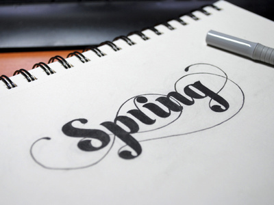 Spring black lettering pen