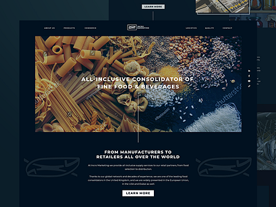 Website Proposal blue design industrial industry ui web webdesign website