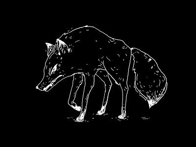 ⋰ ⋱ art dog drawing illustration tattoo wild wolf