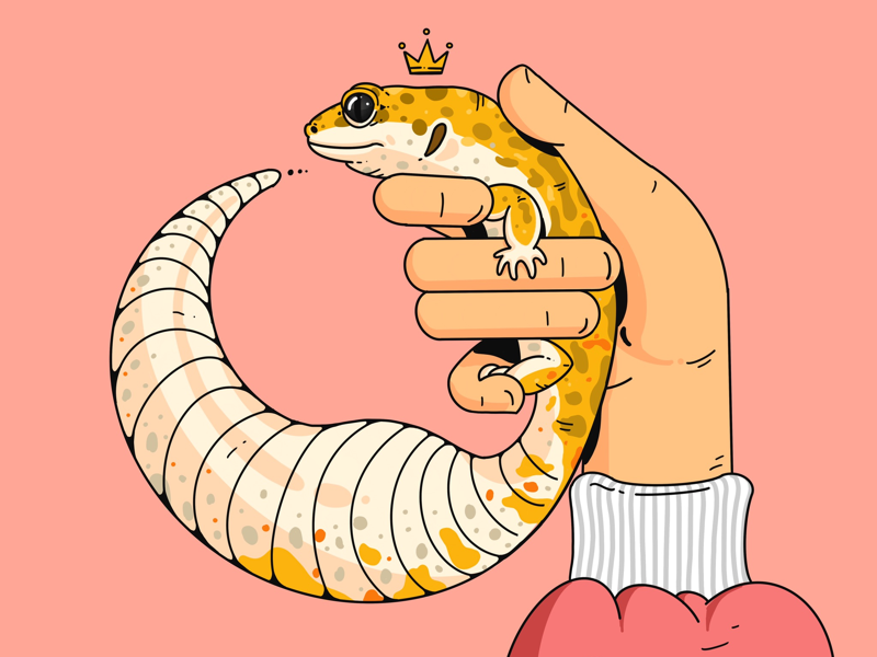 Leopard Gecko ipad procreate reptile leopard gecko illustration