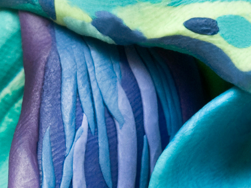 color study, blue one by Olga Protasova on Dribbble