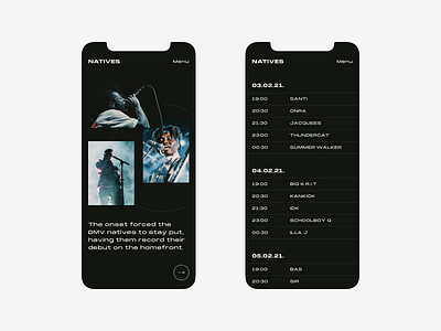 Festival concert dark ui event festival iphone mobile music responsive design timeline