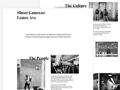 Shoot Cameras: Lenox Ave | Monochrome Web