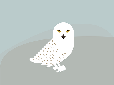 Snowy owl animal arctic illustration vector