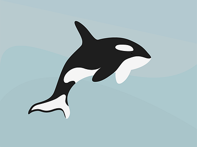 Orca animal arctic illustration vector