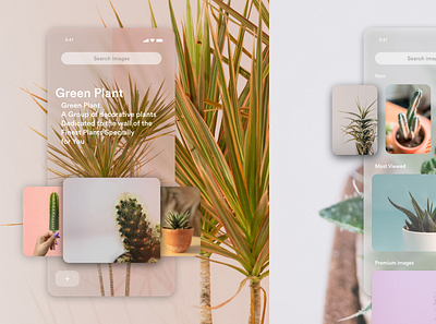 Plants Wall uidesign uxui