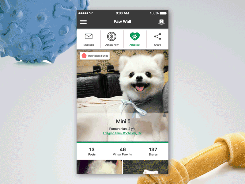 App UI / FUNDoggy / Payment