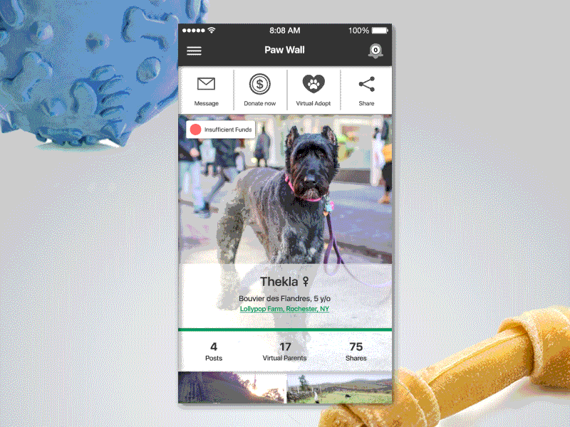 App UI / FUNDoggy / Shelter animal shelter app dogs find store gif interaction map store page ui design zoom
