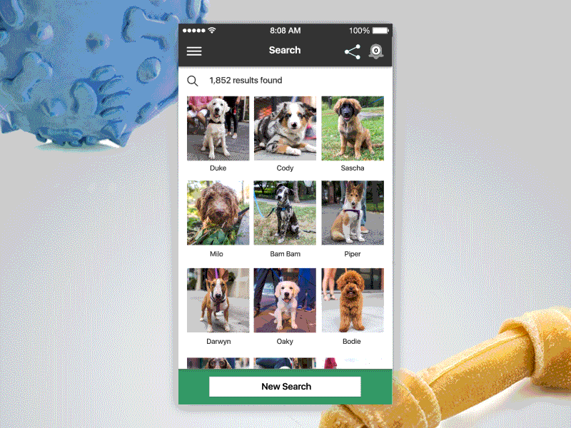 App UI / FUNDoggy / Search dogs dropdown icons input interaction interface layout loading no result options search ui design