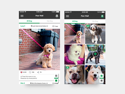 App UI / FUNDoggy / News feed dogs donation fundraising grid layout interaction mobile app motion photo album photo layout prototype social media ui design