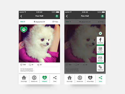 App UI / FUNDoggy / Page