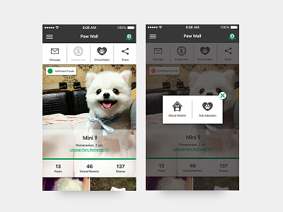 App UI / FUNDoggy / Page dog mobile application follow fundraising mobile my page page layout photo posts social media ui design upper menu bar