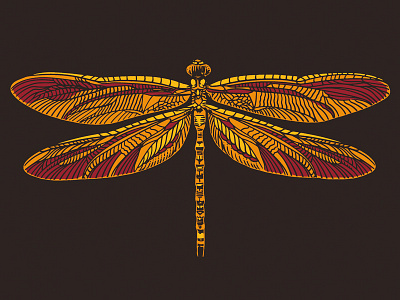 Dragonfly coffee dragonfly illustration johanillustration packagedesign