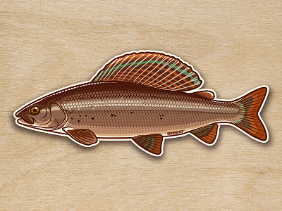 Grayling sticker