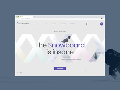 Snowboard site