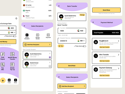 Cross Border Payment | Remittance | Money Transfer cross border payment financial services fintech payment payments remit remittance ui ux