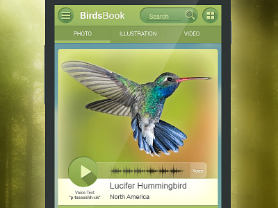Birds Book actionbar android app birds social