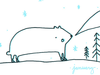 Winter bear bear illustration