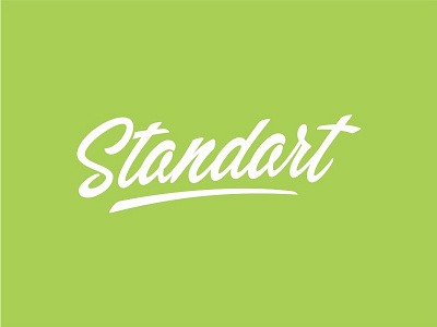 Standart branding brush custom identity lettering logotype