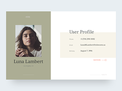 User Profile 006 clean concept daily ui digital design minimal ui ux design user interface user profile web design webdesign