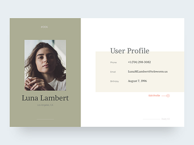 User Profile 006 clean concept daily ui digital design minimal ui ux design user interface user profile web design webdesign