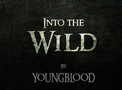 Into the Wild book publishing book teaser book trailer