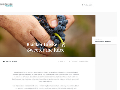 Blog Design Concept 2/3 agriculture blog