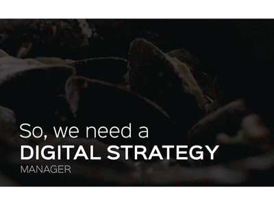 Digital Strategy Manager needed