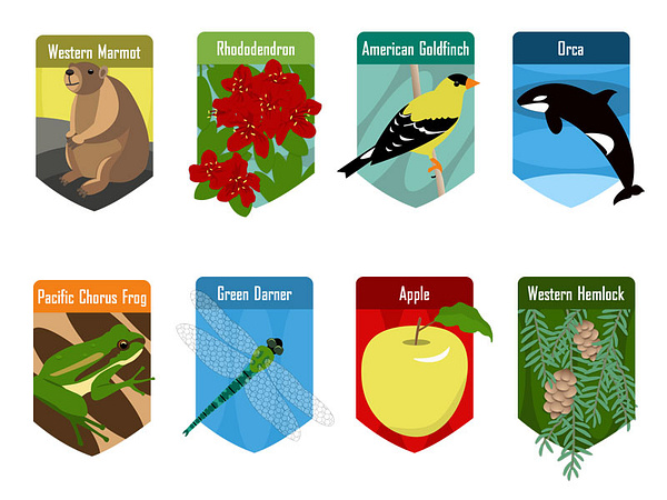 Washington State Symbols Badges By Christine Marie Larsen On Dribbble washington-state-symbols-badges-by-christine-marie-larsen-on-dribbble
