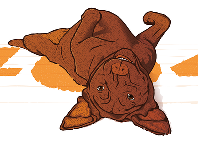 404, it was already broken when I arrived here! 404 404 error 404 page brown carpet dog illustration labrador orange