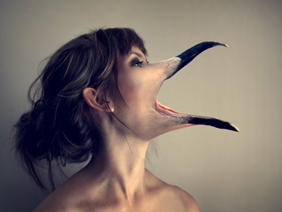 Gull Scream caroline solheim design graphic design manipulation